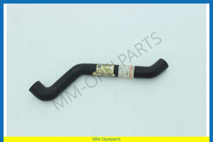 Radiator hose lower