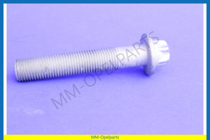 Screw-Torx