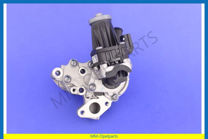 EGR valve, with cooler