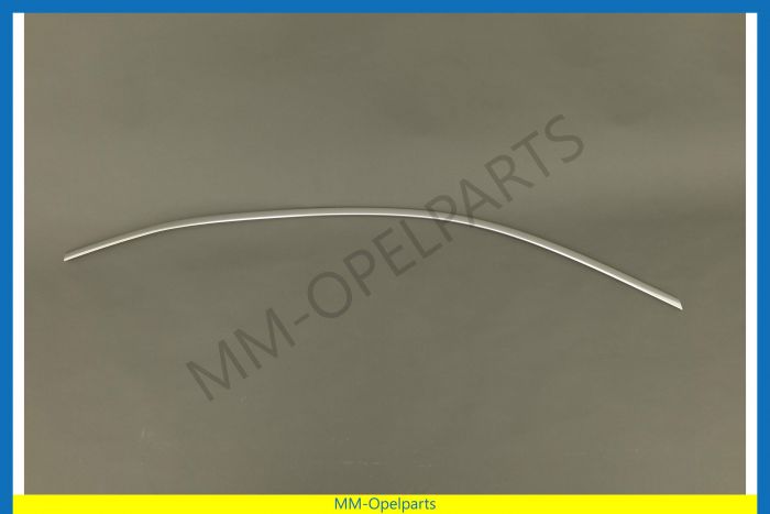 Moulding windowframe, Chrome, right door