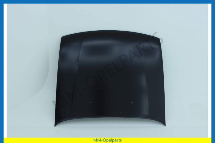 Bonnet with emblem hole