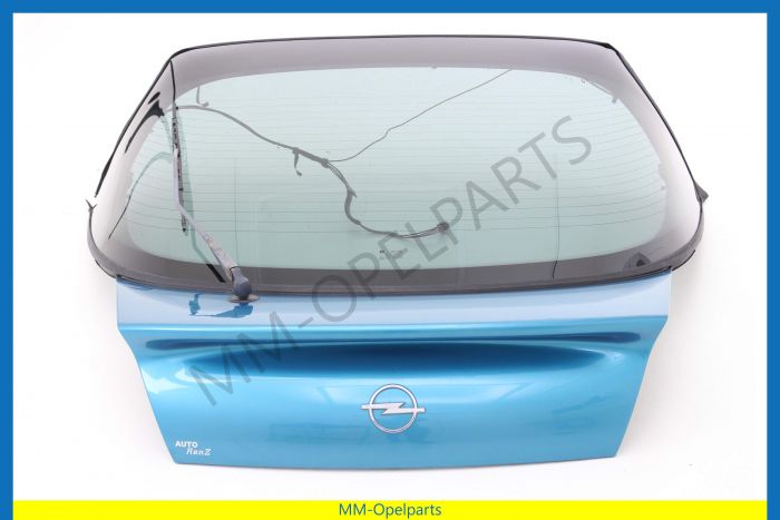 Tailgate, with window