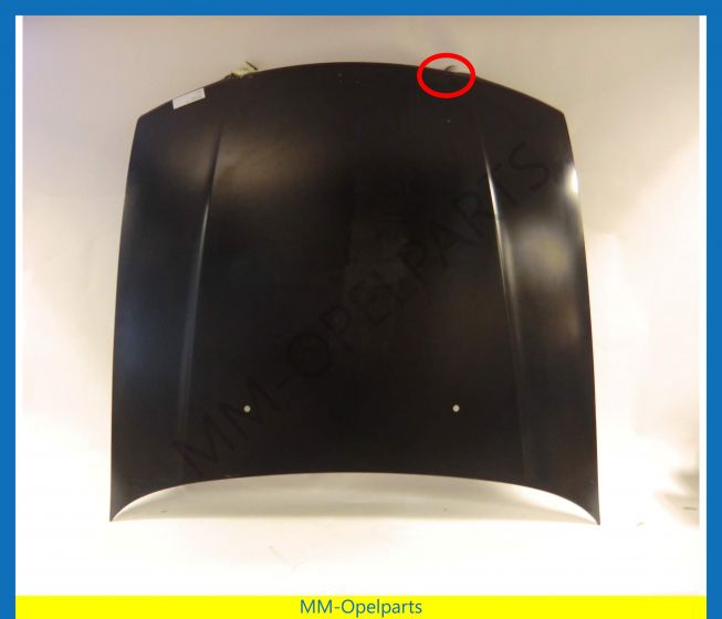 Front bonnet