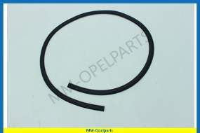 Moulding-Back Window