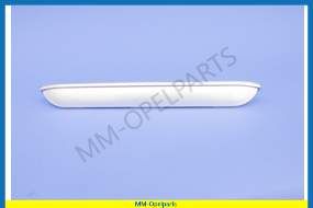 Licenceplate lighting lens  except Caravan