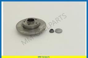 Brake Disc Rear