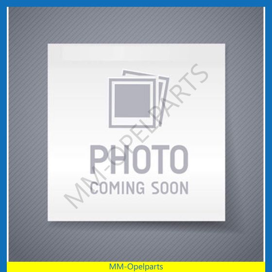 Door left rear Caravan *  