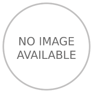 Engine damper block rear left automatic gearbox (see info)